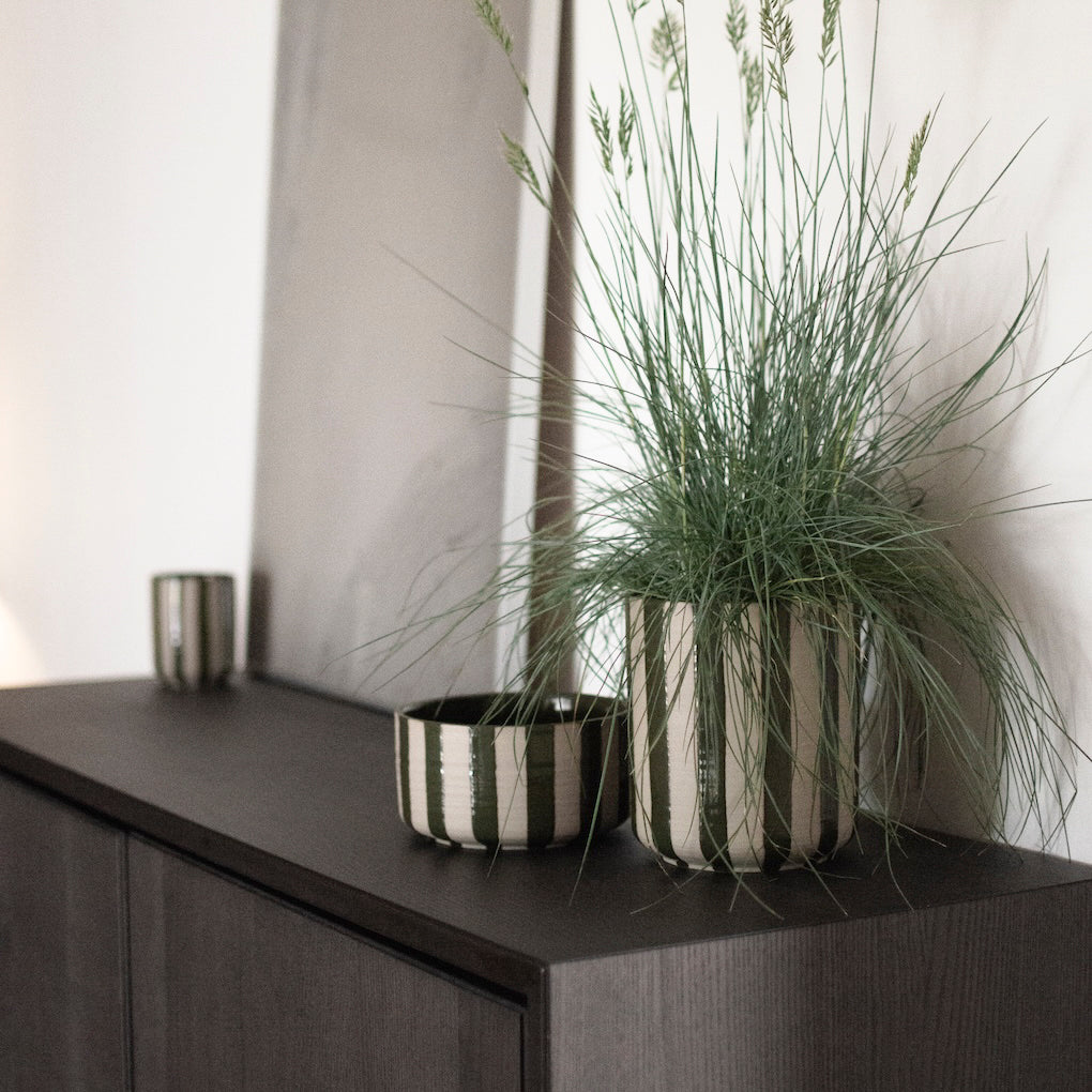 Schale Line - stripe grün
