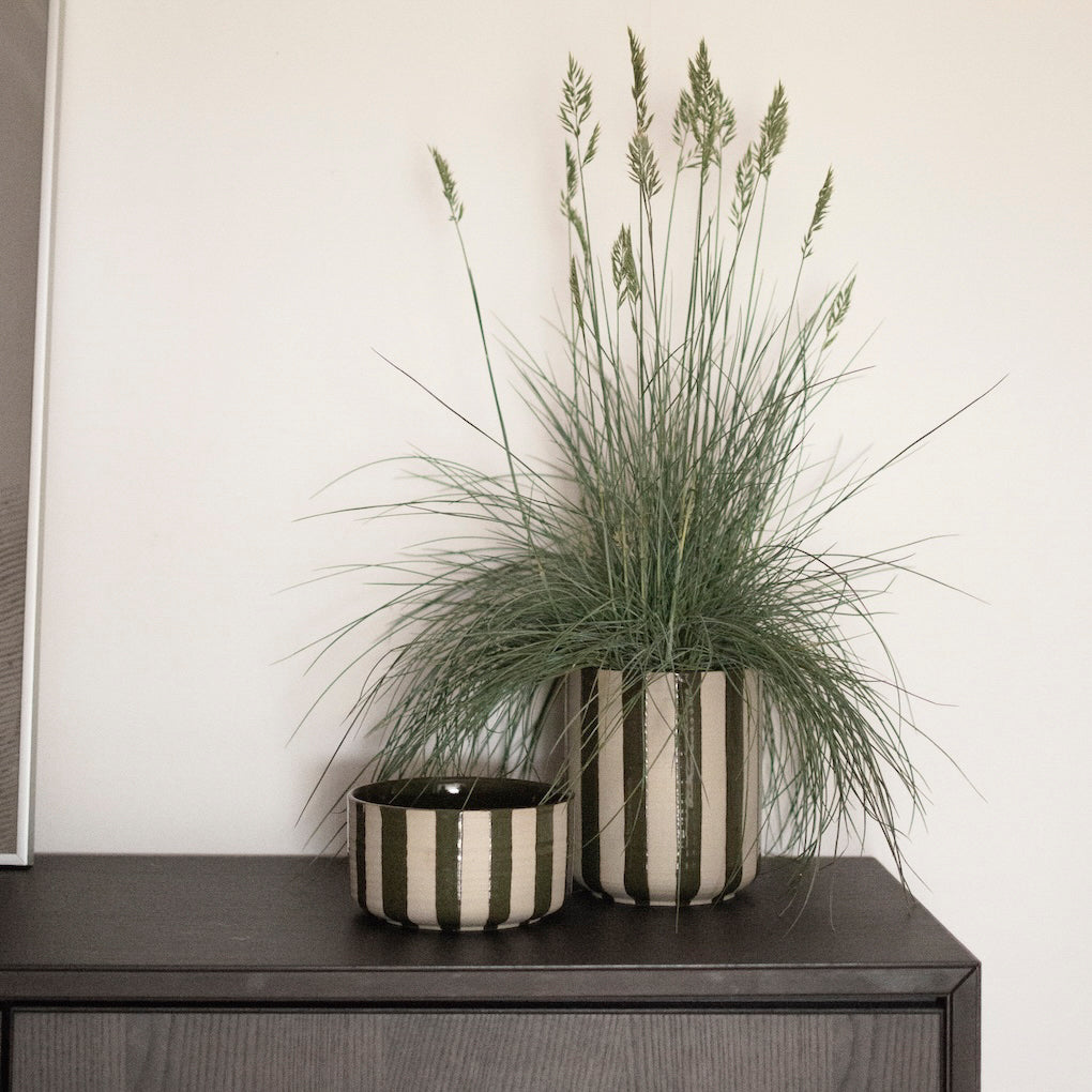 Schale Line - stripe grün