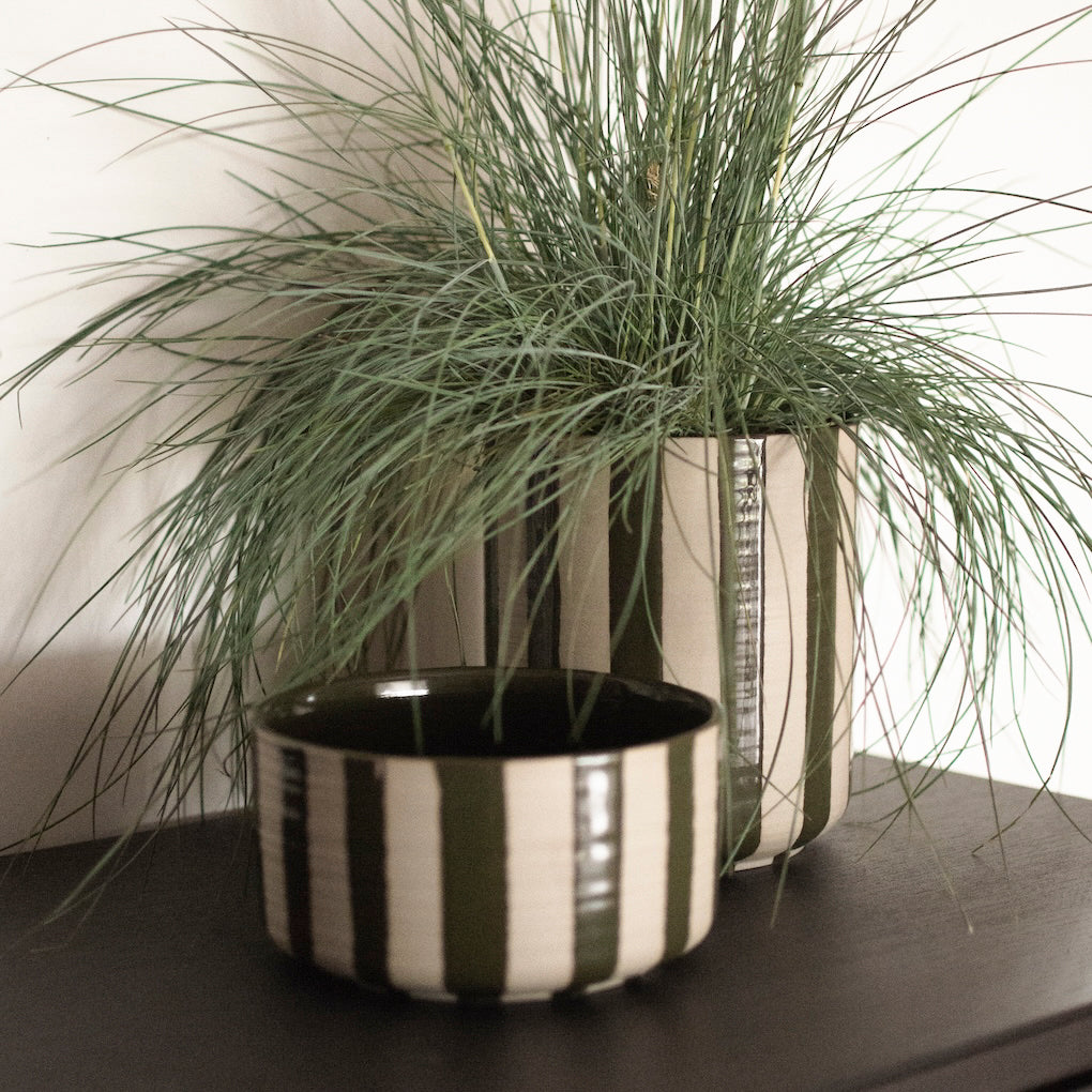 Schale Line - stripe grün