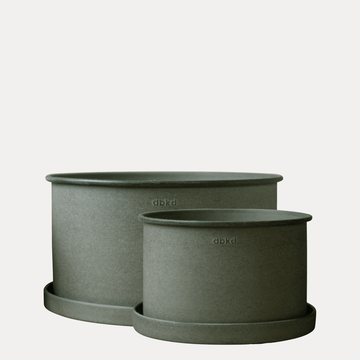 Pflanzschale Plant - grün