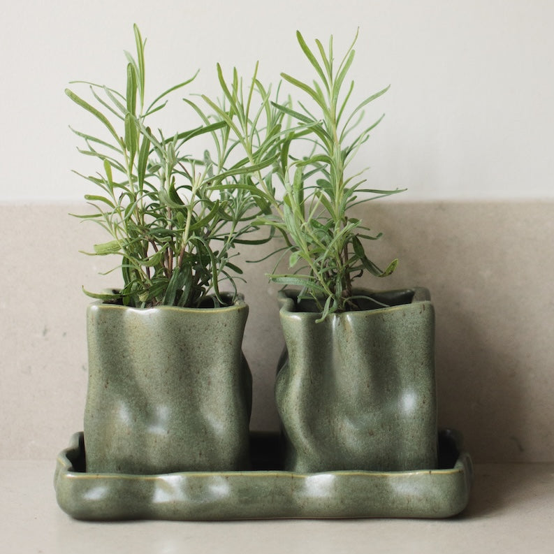 Aufbewahrungsset Herb - moss