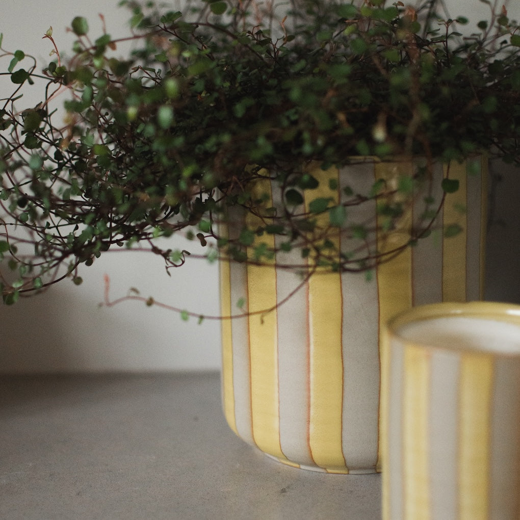 Schale Line - stripe yellow
