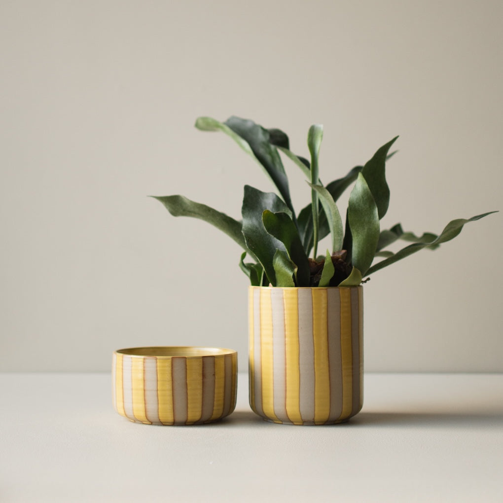 Schale Line - stripe yellow