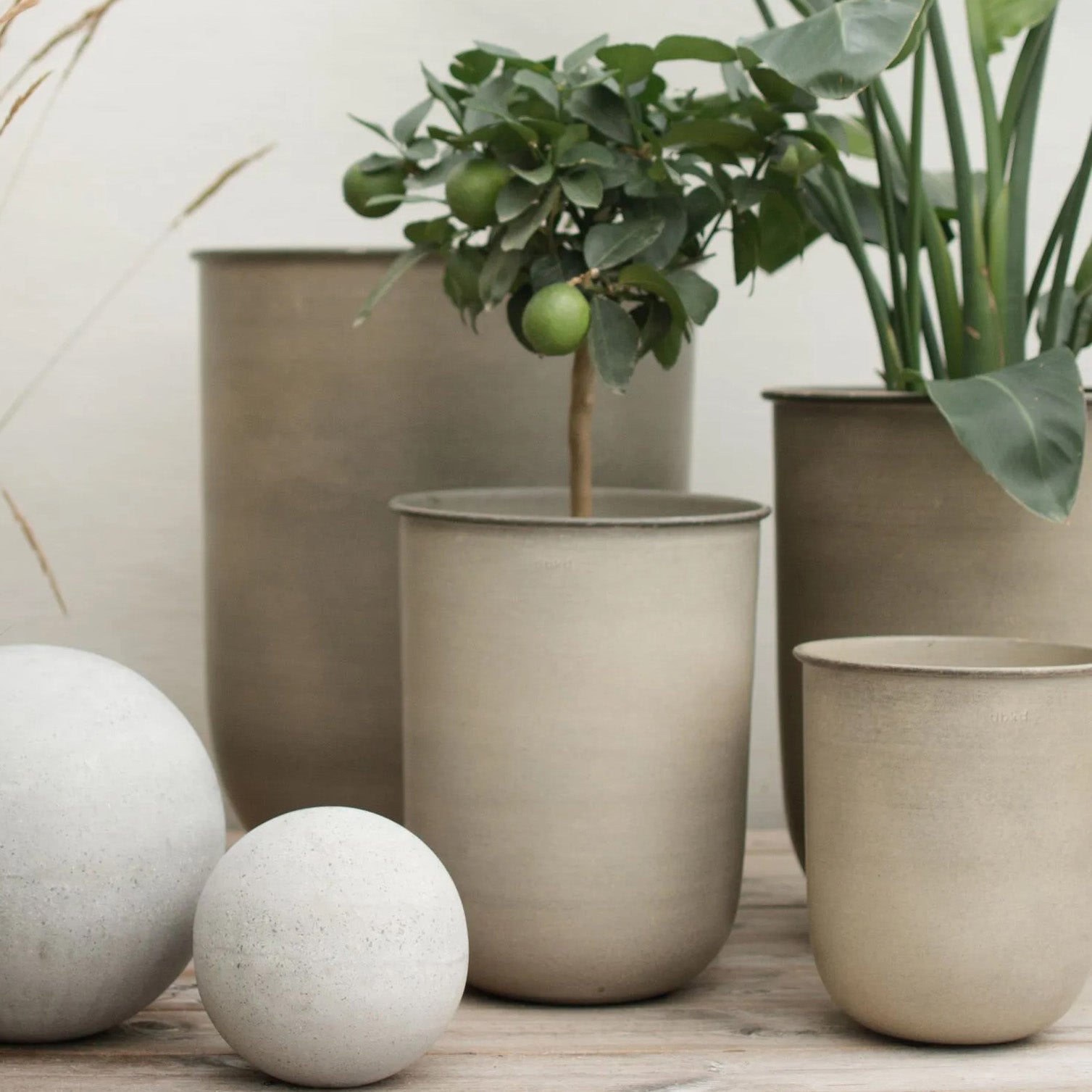 Pflanztopf Out - beige