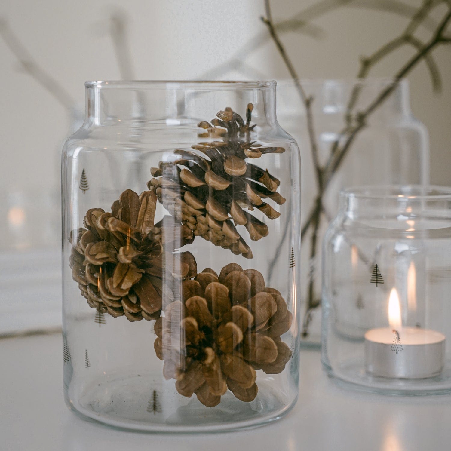 Vase aus Glas Tannen L