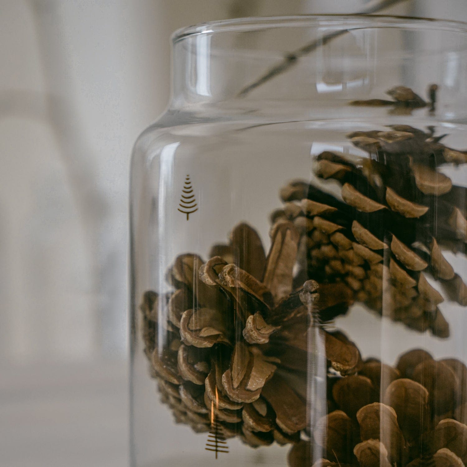 Vase aus Glas Tannen L