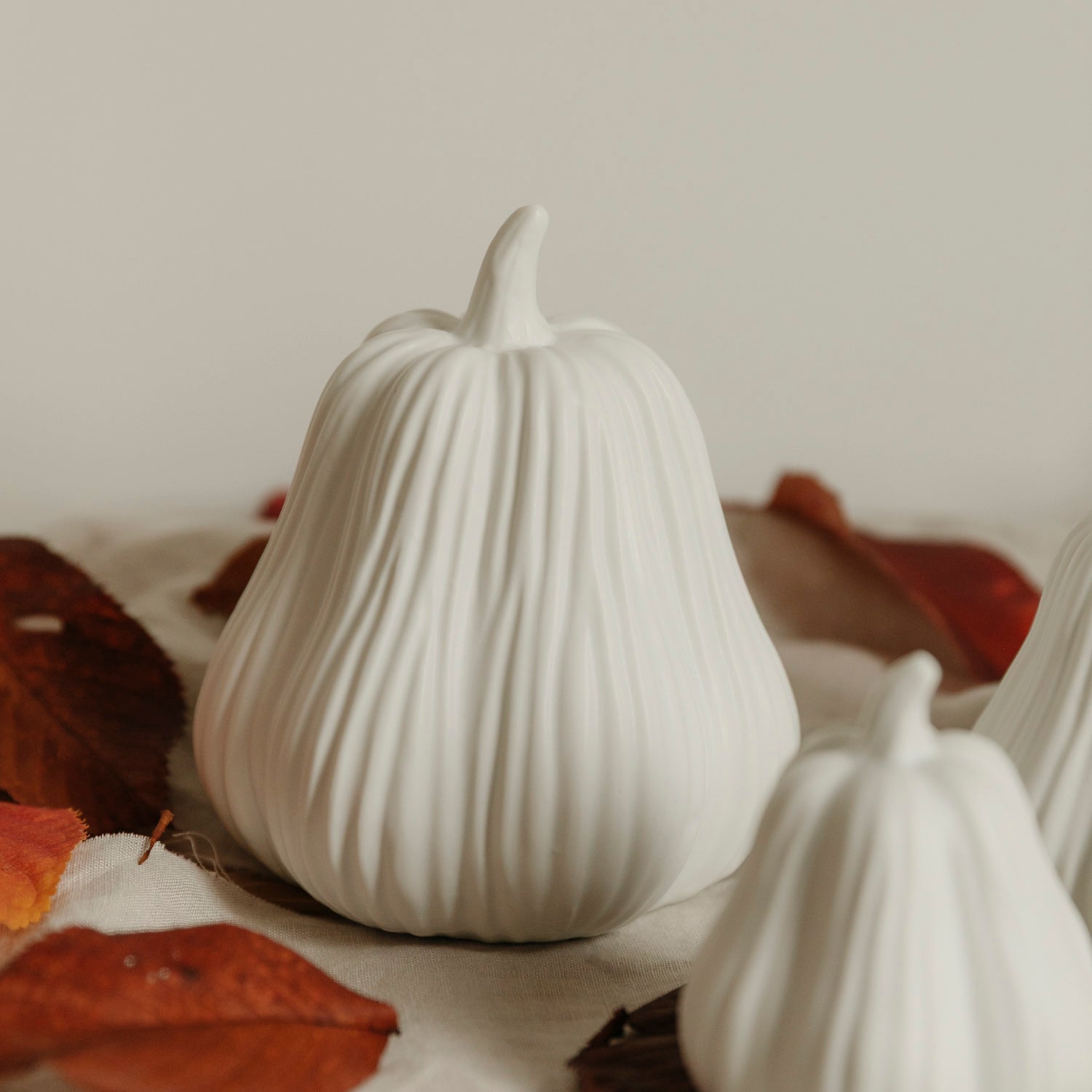 Kürbis Lysvik hoch - weiß