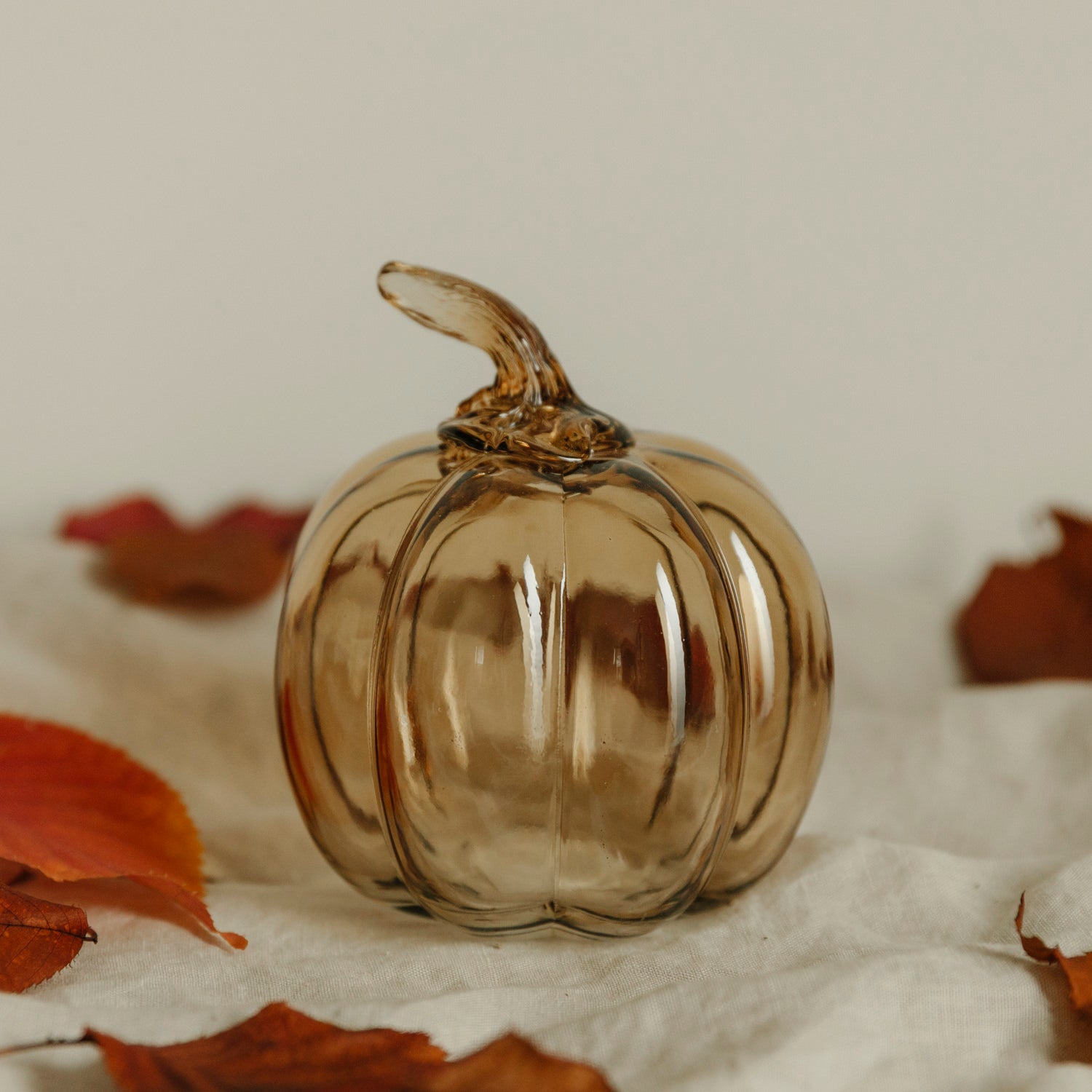 Kürbis Glasvik - honey