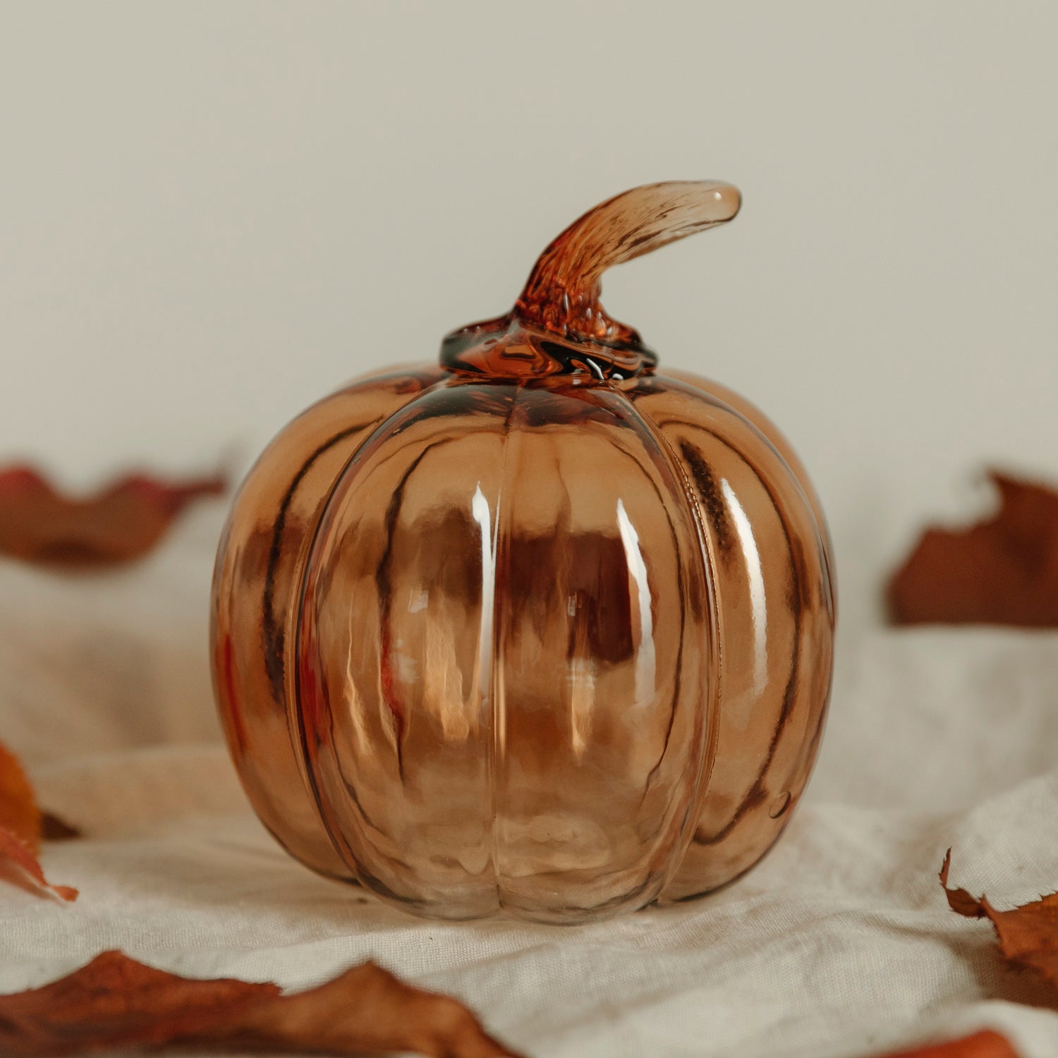 Kürbis Glasvik - amber