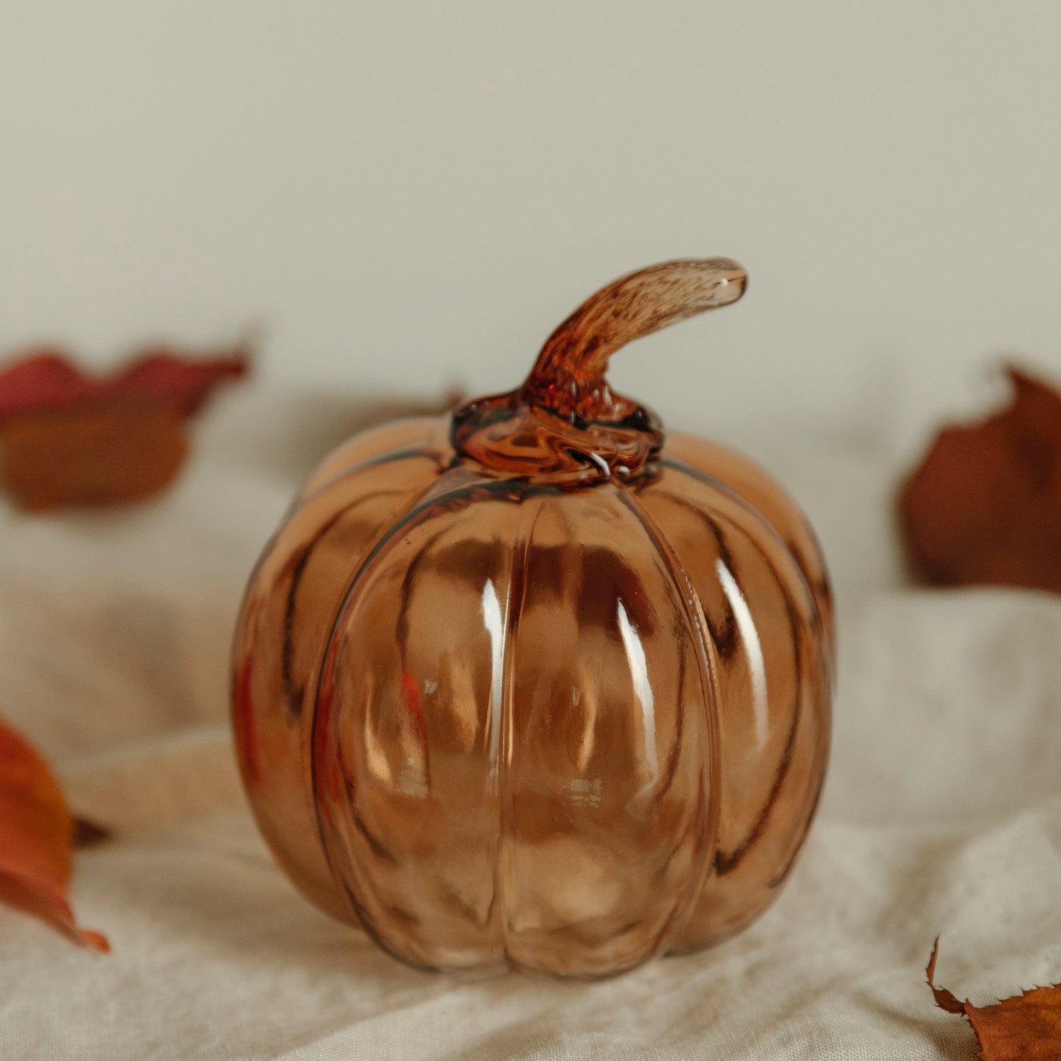 Kürbis Glasvik - amber