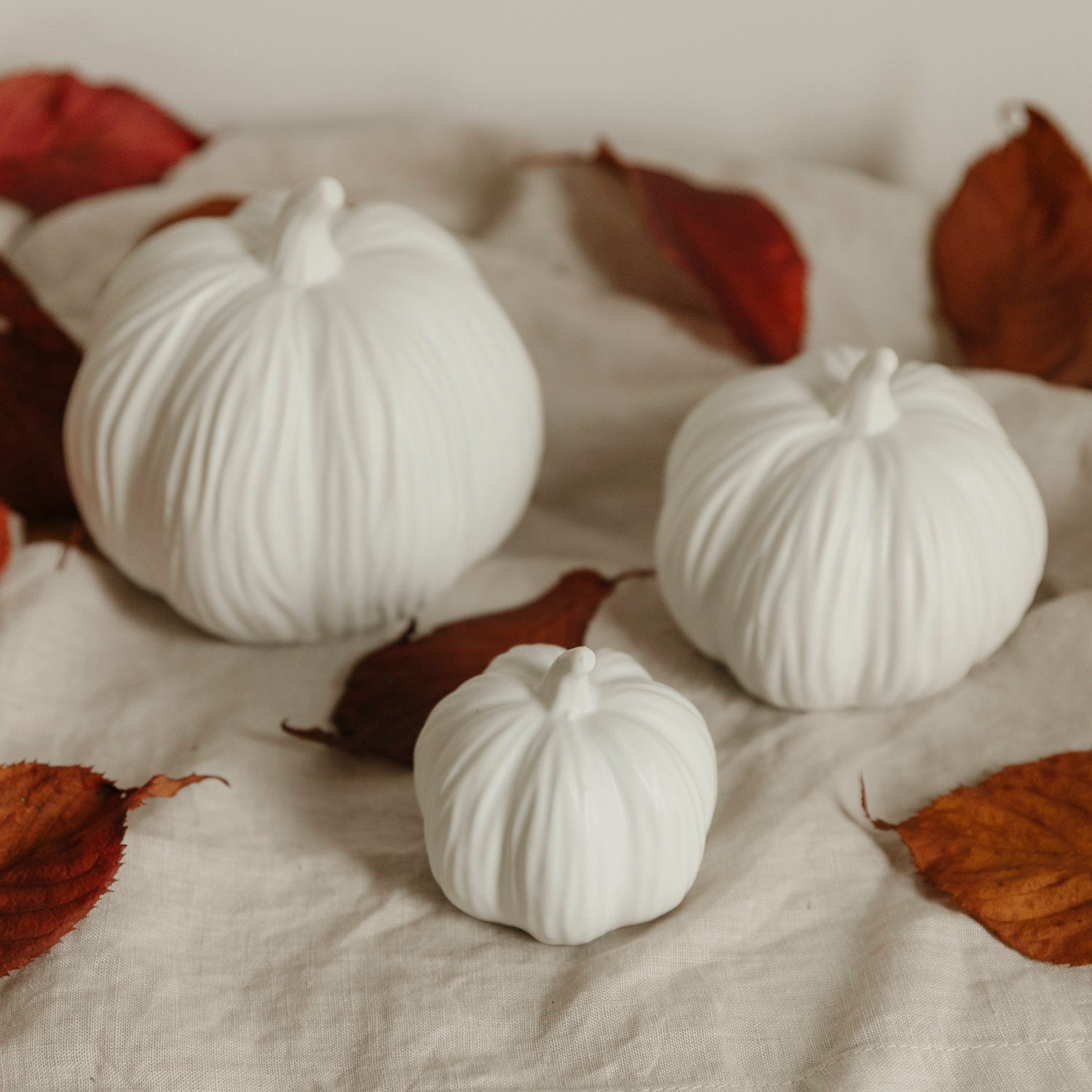 Kürbis Lysvik rund - weiß