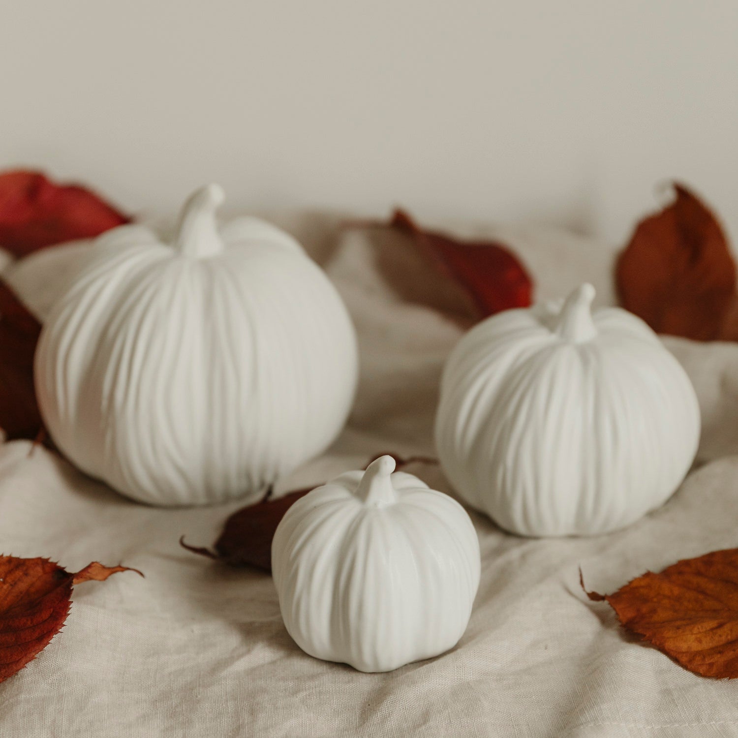 Kürbis Lysvik rund - weiß