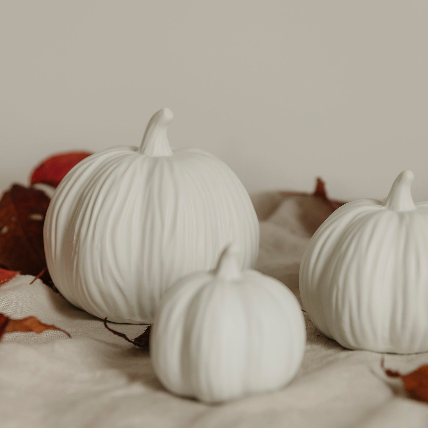 Kürbis Lysvik rund - weiß