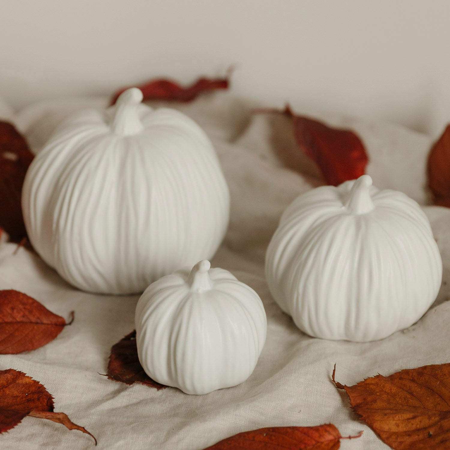 Kürbis Lysvik rund - weiß