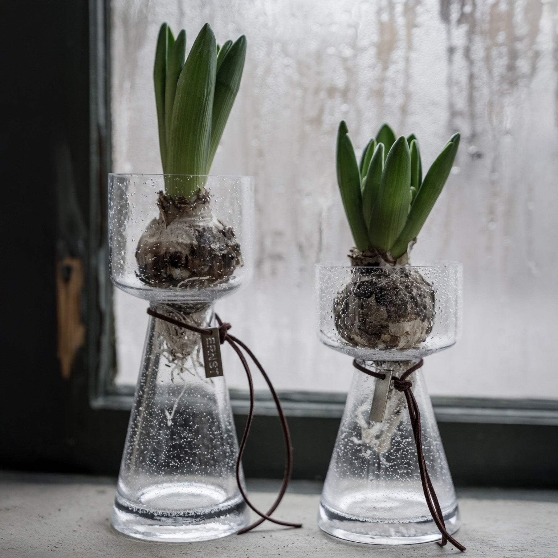 Hyazinthenvase aus Glas - bubble