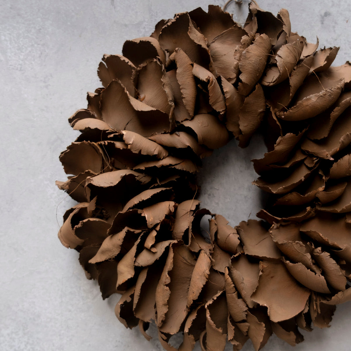 Kranz Palm Petal - cocoa