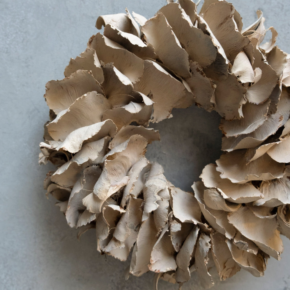 Kranz Palm Petal - coffee cream