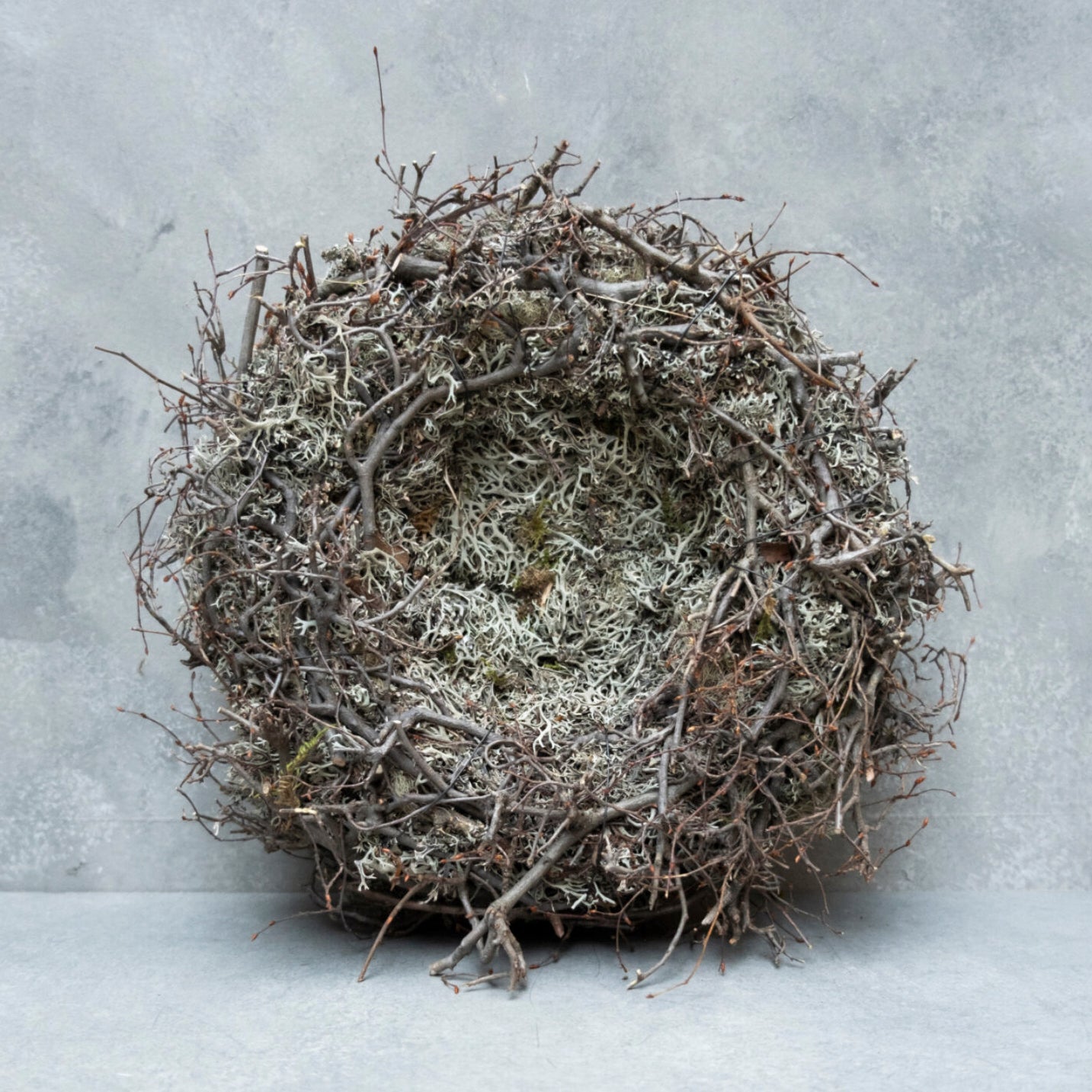 Moos Nest mit Bonsai - braun grau