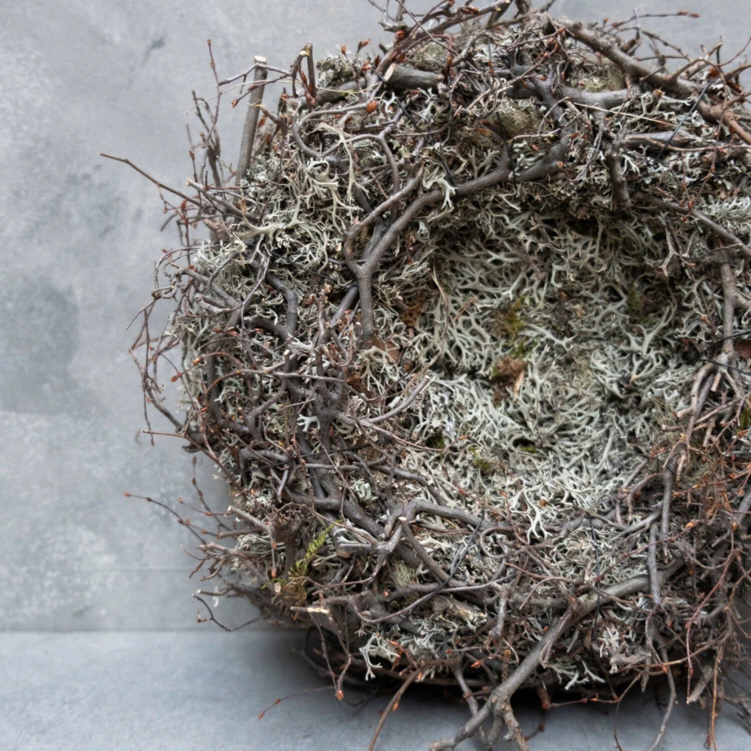 Moos Nest mit Bonsai - braun grau