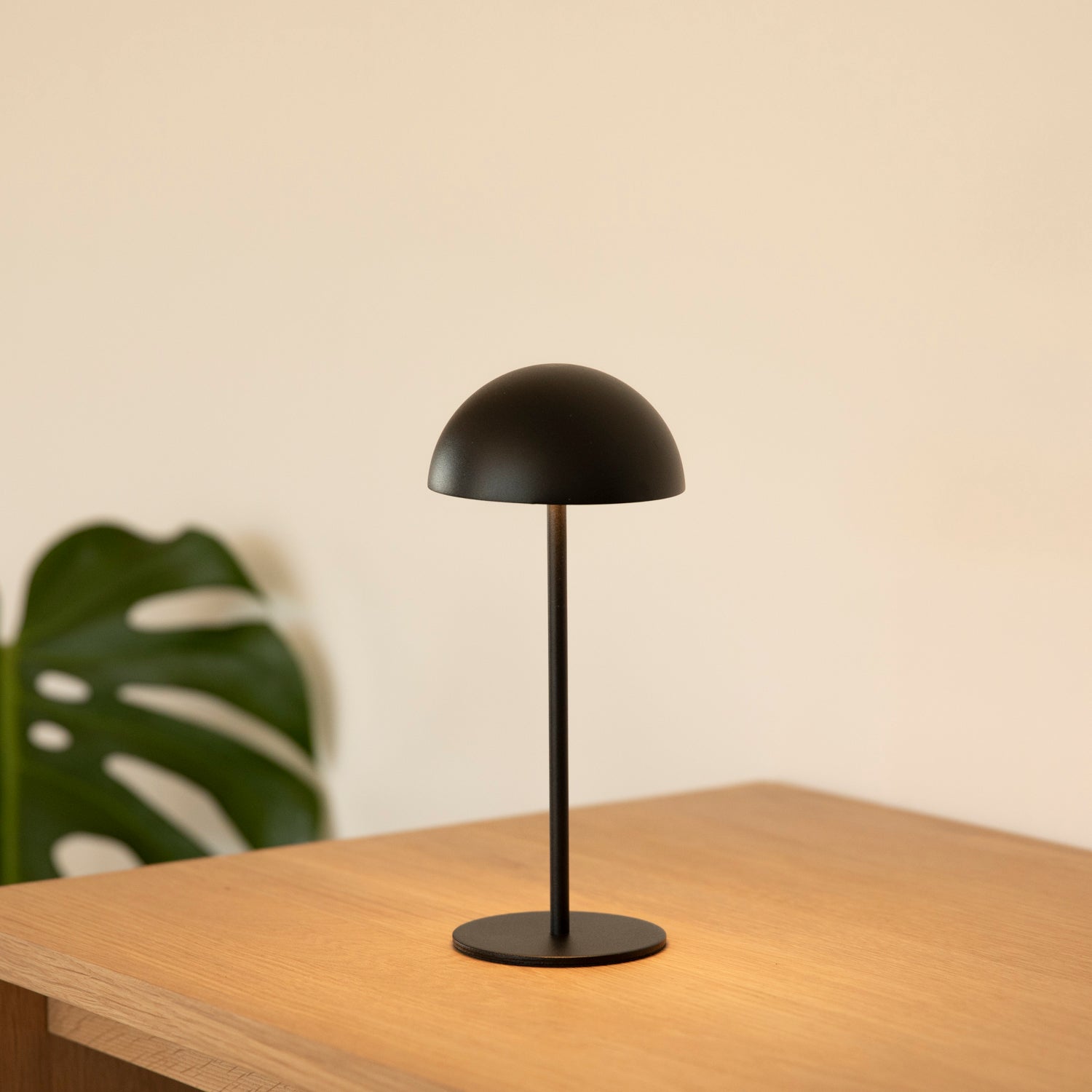 LED Tischlampe rund outdoor - schwarz
