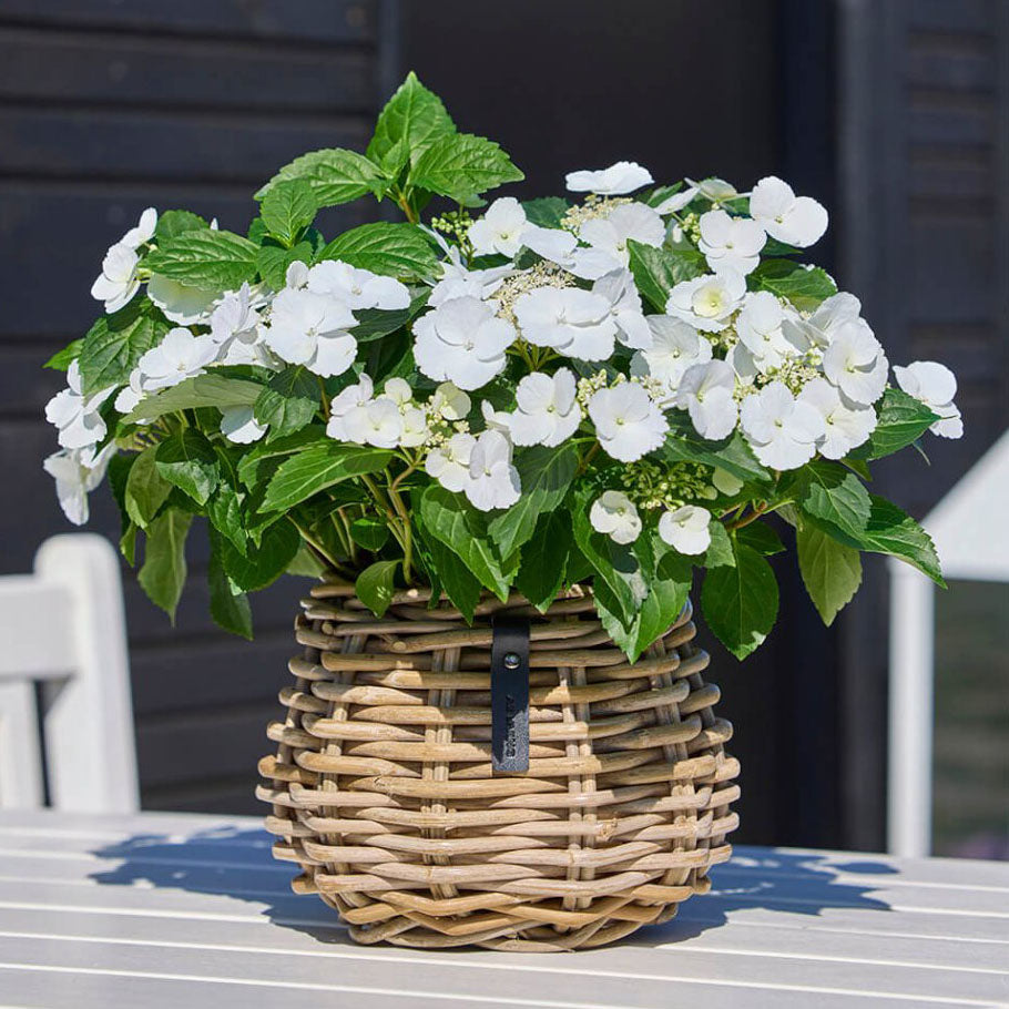 Rattan Blumenkorb Kubu - Pear