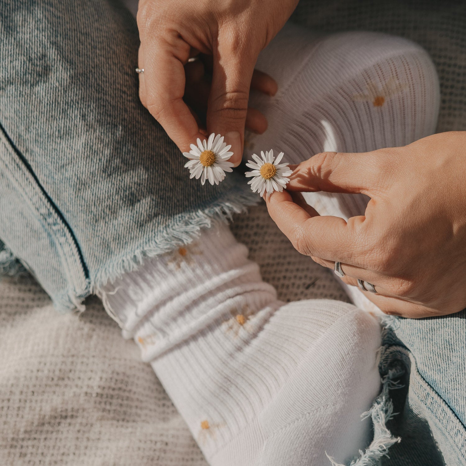 Socken - All over Daisy