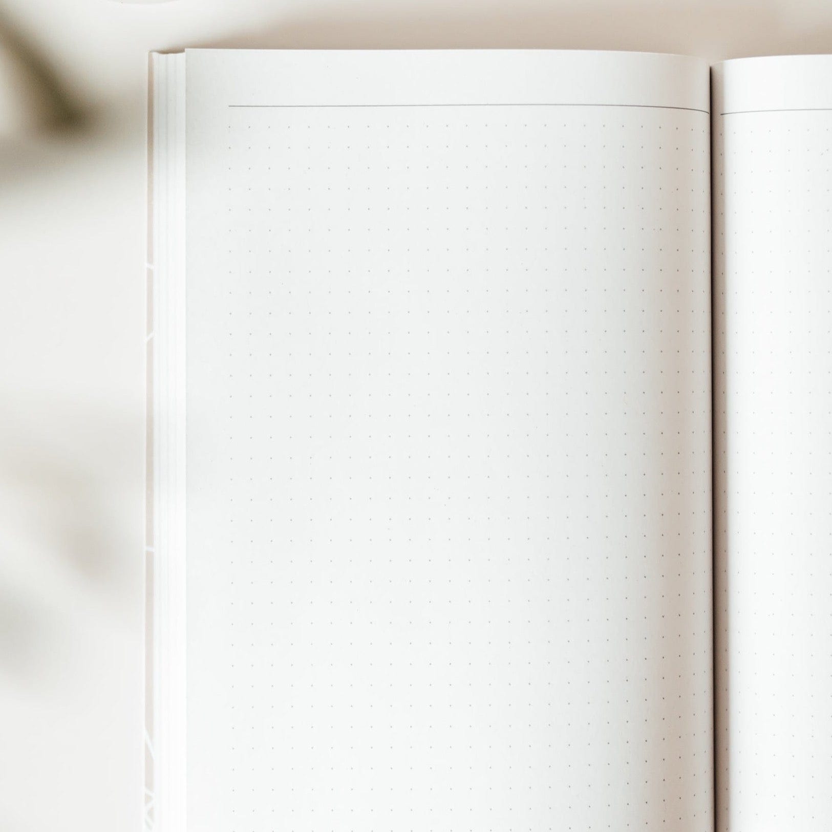 Notizbuch Femme