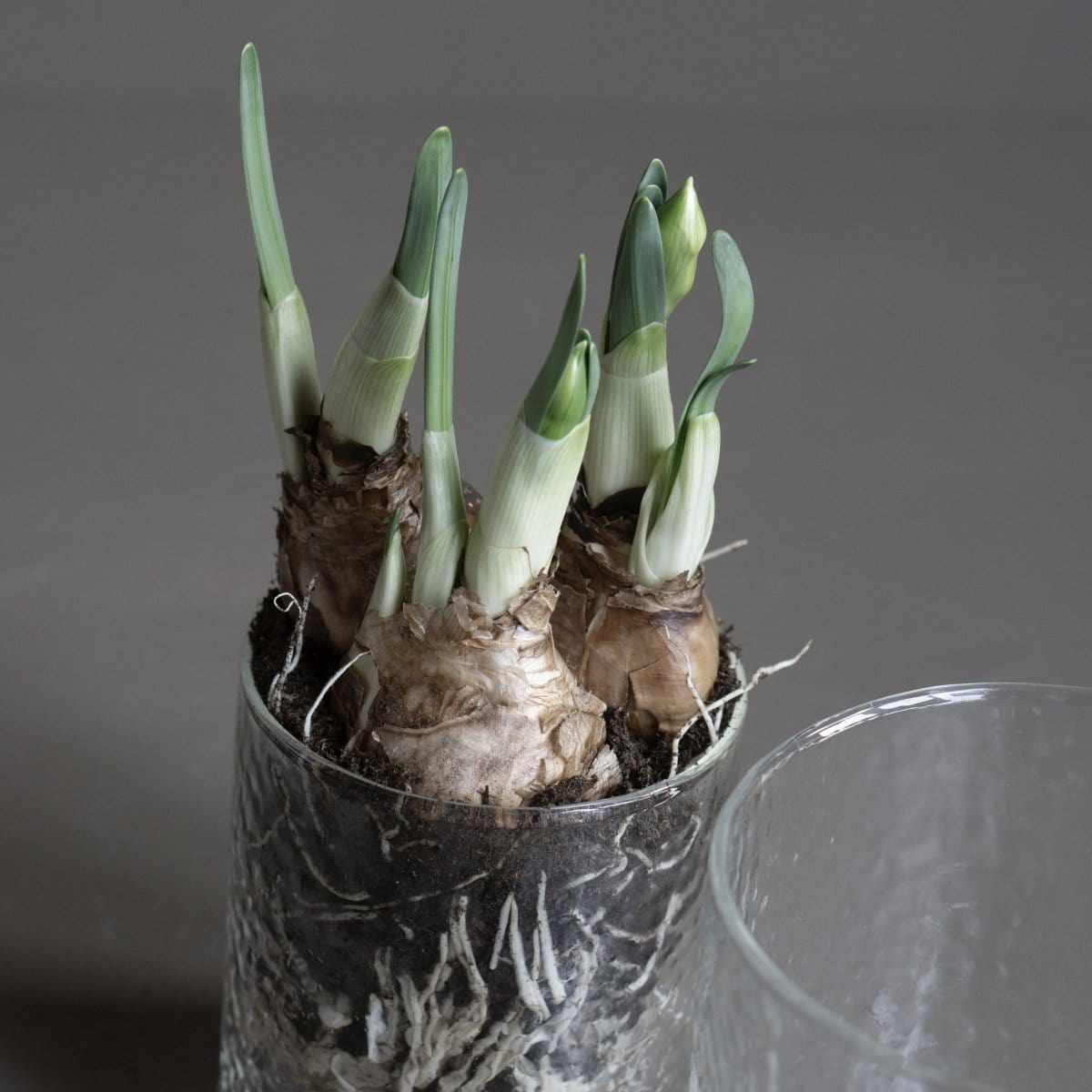 Vase Airy Pot L - Glas