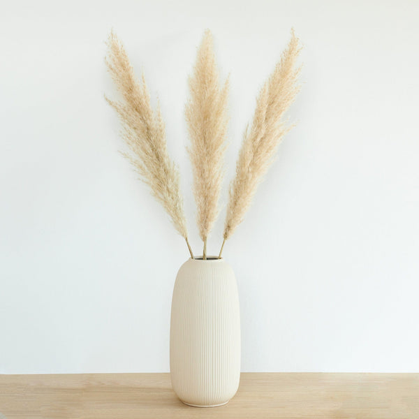 Pampasgras fluffy 70cm
